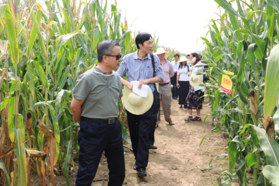 欧陆注册(中国区)官方网站