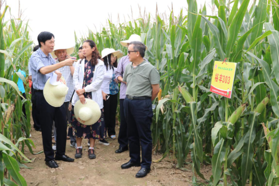 欧陆注册(中国区)官方网站
