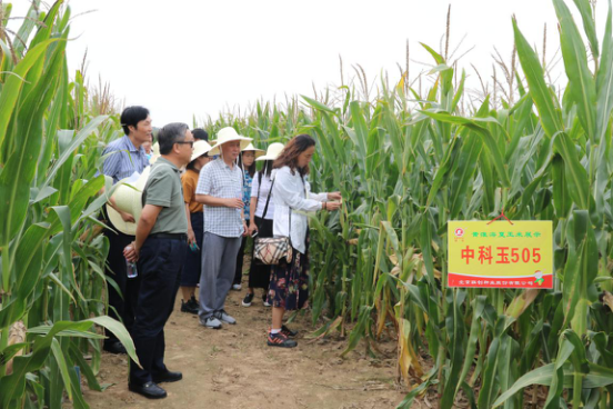 欧陆注册(中国区)官方网站