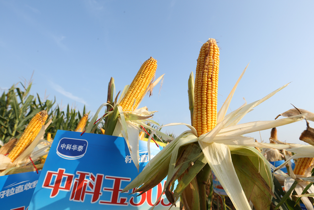 欧陆注册(中国区)官方网站