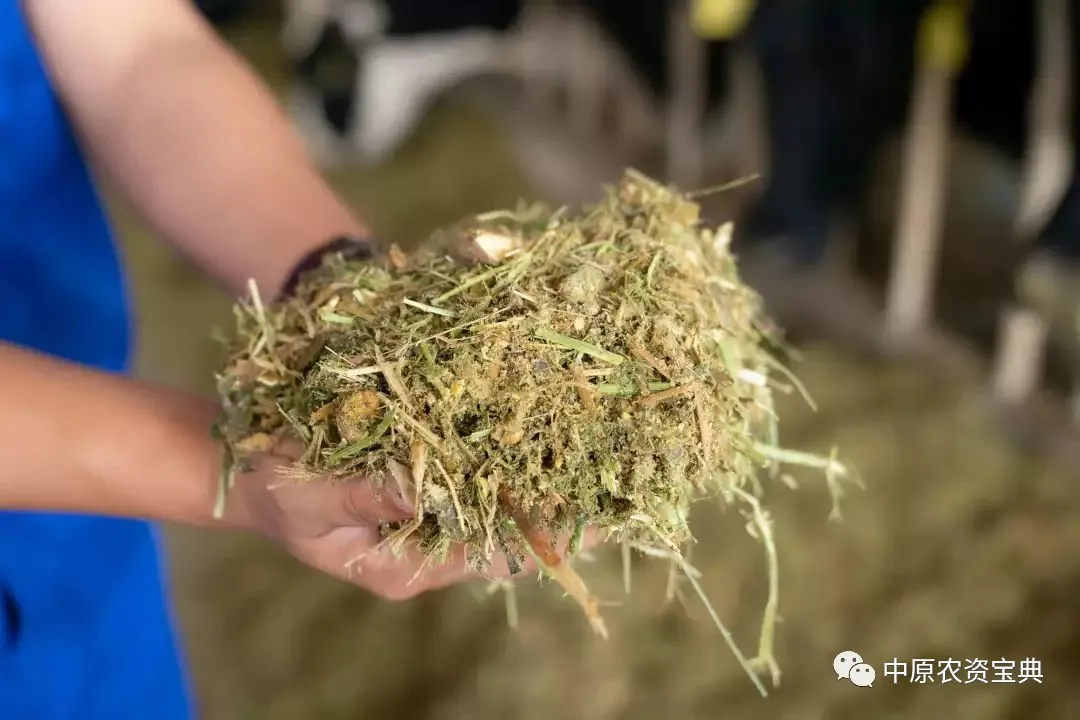 欧陆注册(中国区)官方网站